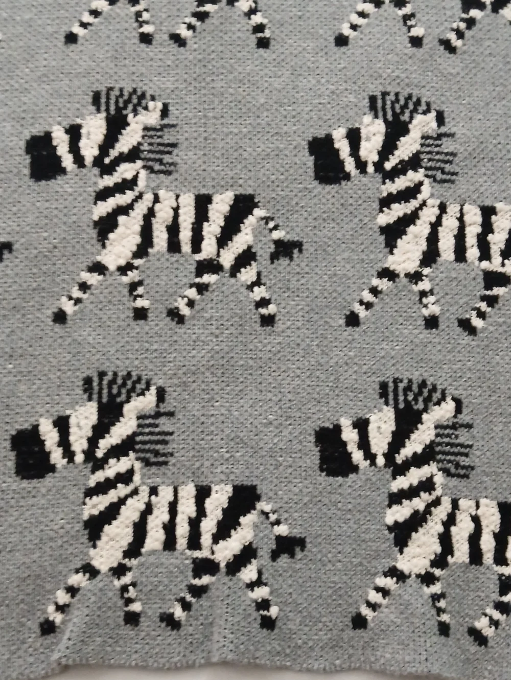 Zebra Baby Blanket